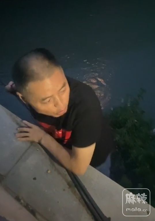 153815207539.jpg