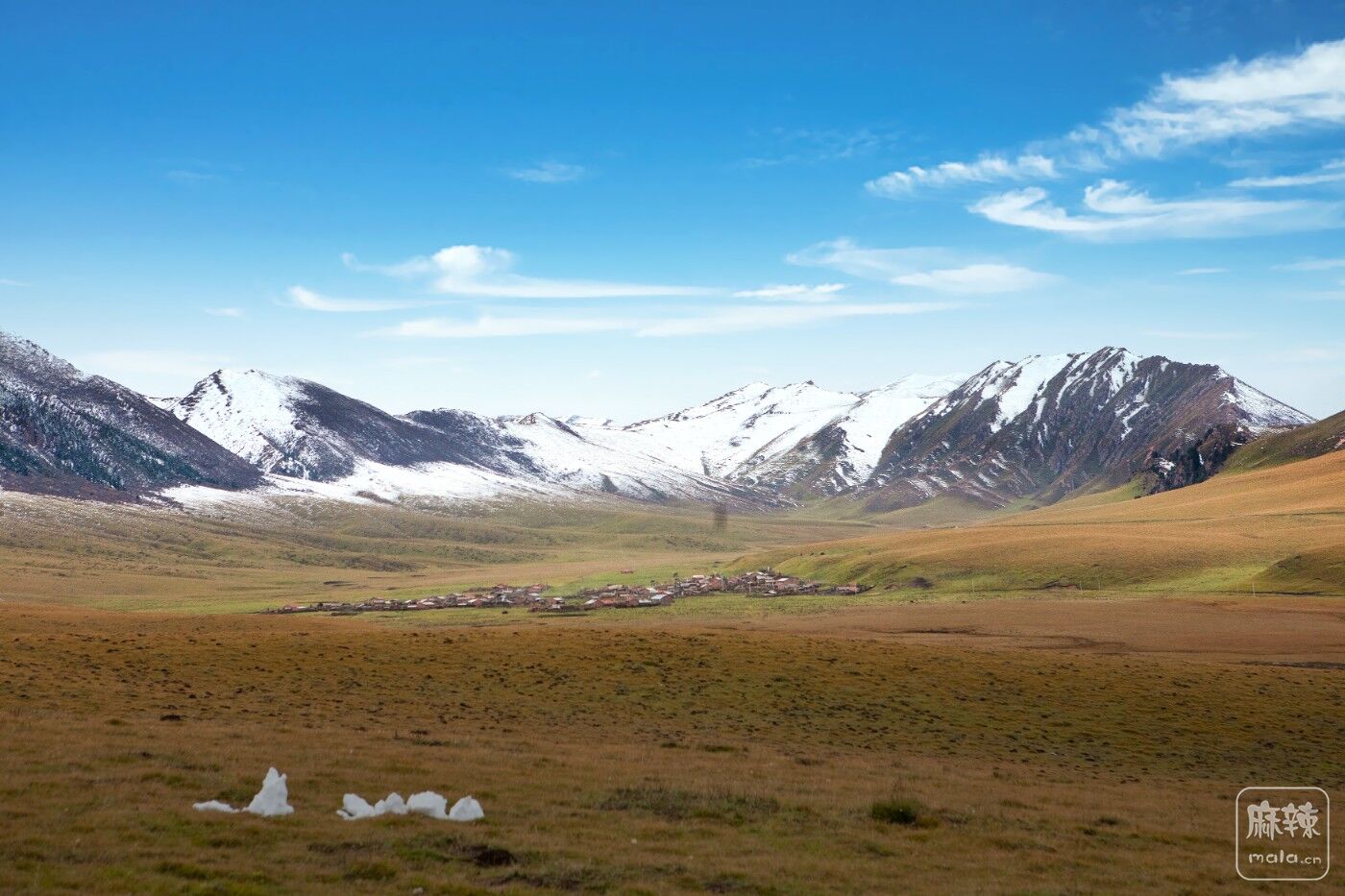 _MG_9549.jpg