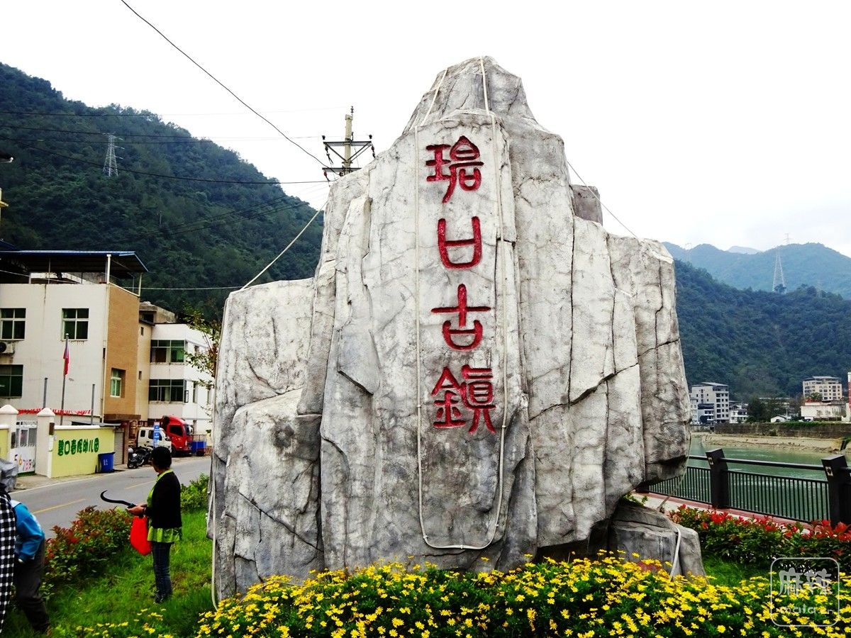 DSC09601_.jpg
