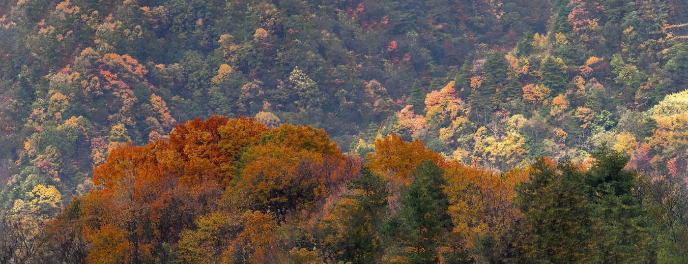 PB100091-ORF_DxO_DeepPRIMEXD-Pano .jpg