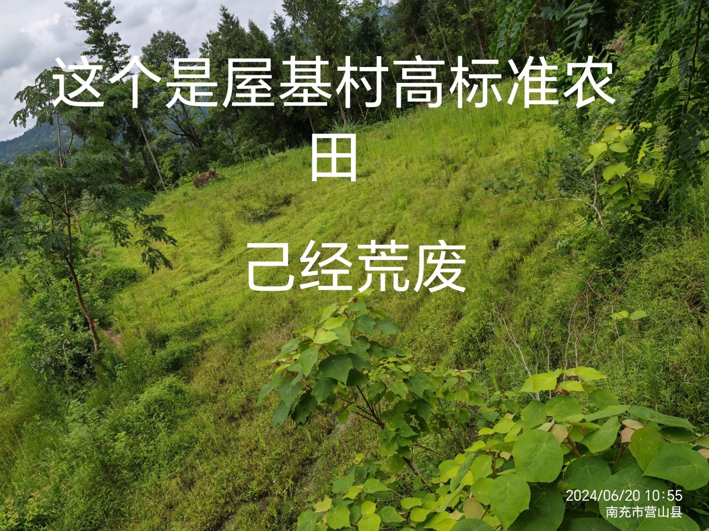 140701pi2fbg9tii54sgft.jpg