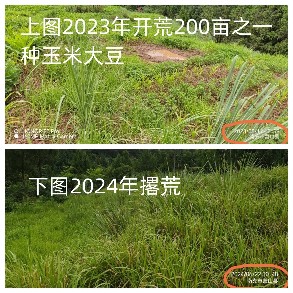 140747btzi8ilx9ctctyfu.jpg