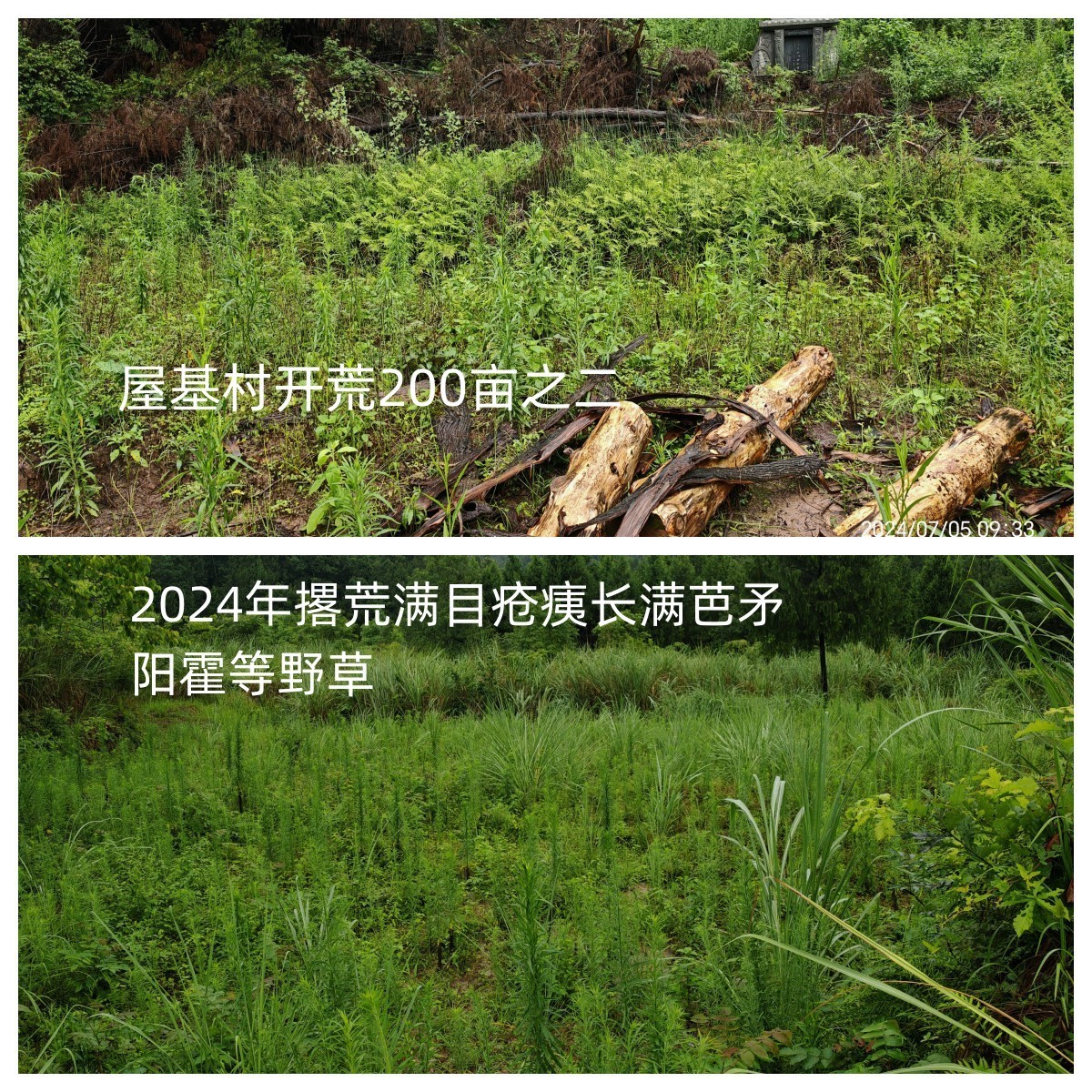 140750ipg1pf87gpwf7735.jpg