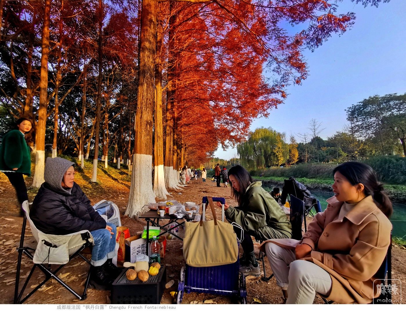 ɶ淨㵤¶Chengdu French Fon