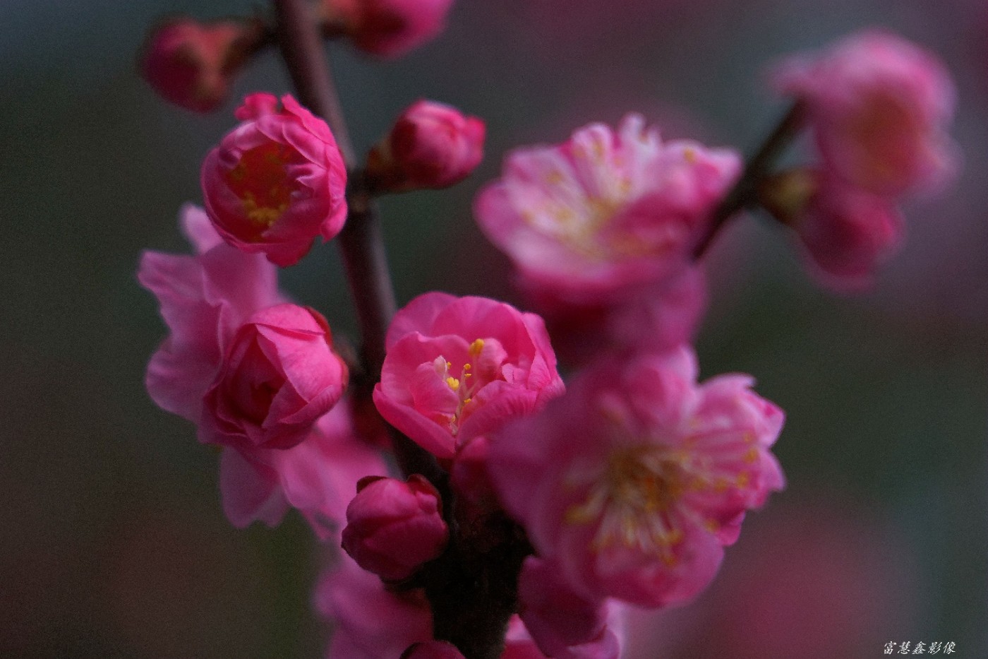 DSC06079_.jpg