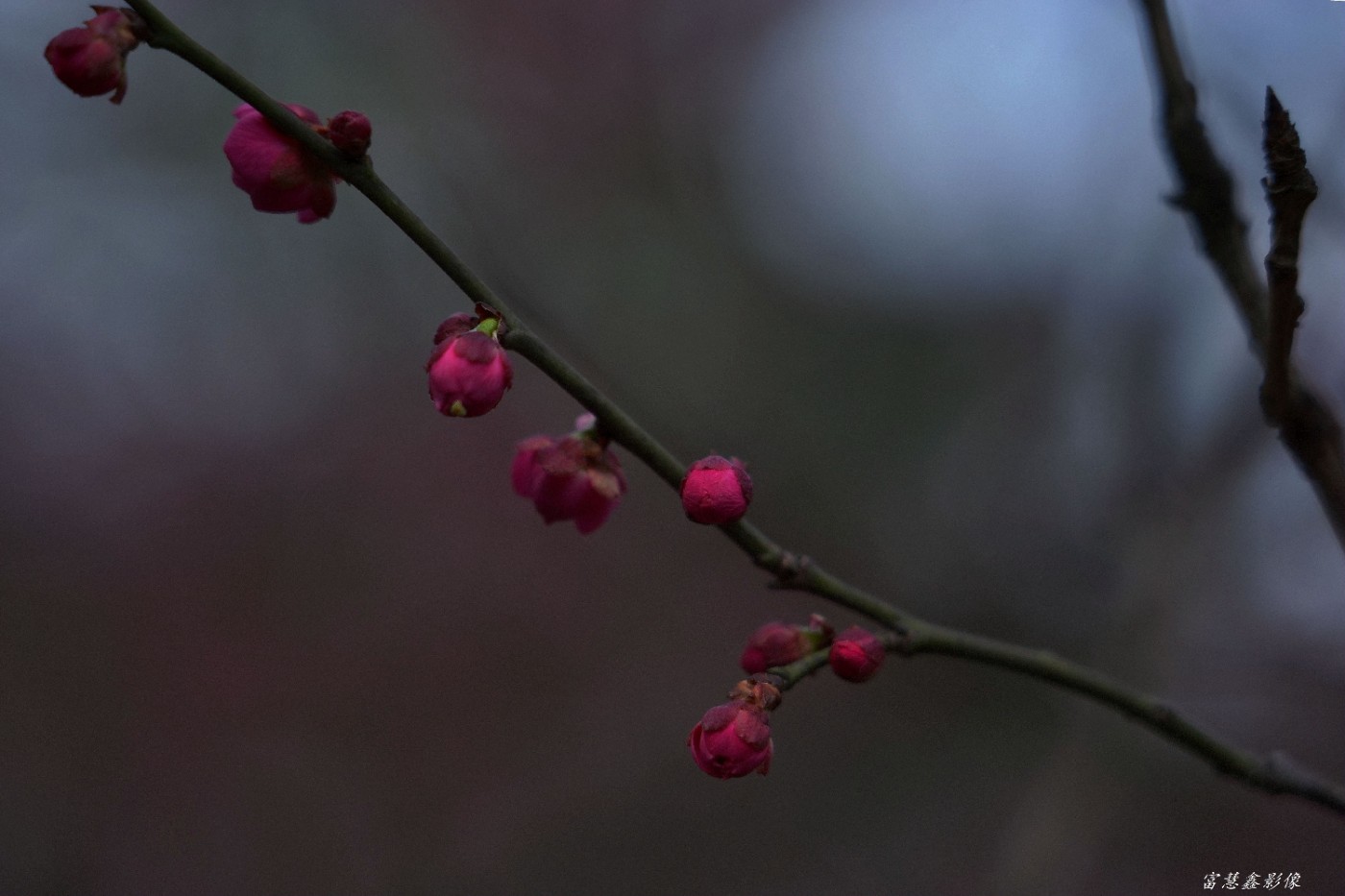 DSC06091_.jpg