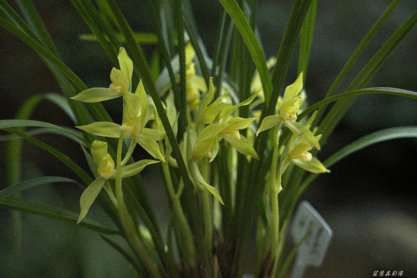 DSC08319_.jpg