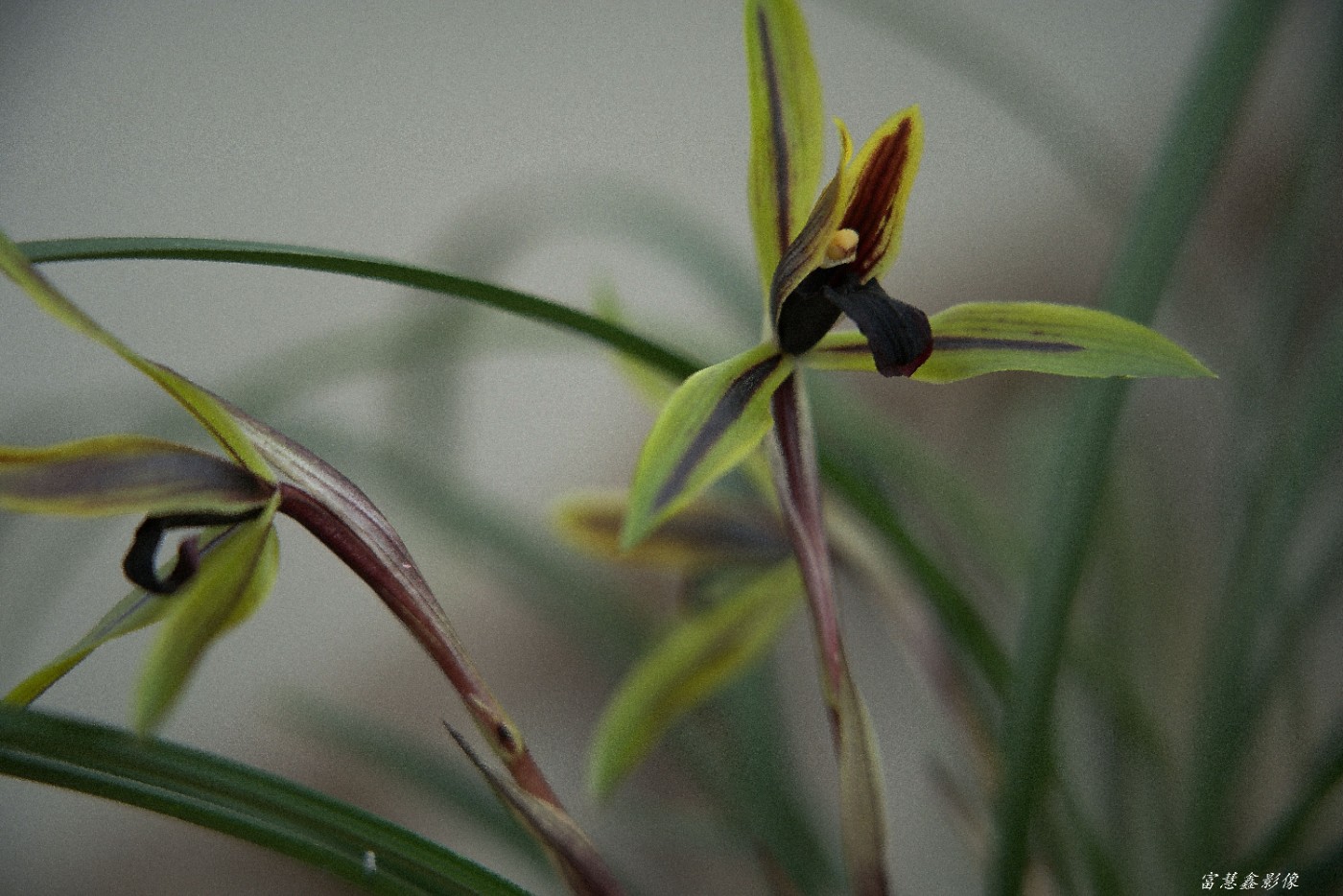 DSC08324_.jpg