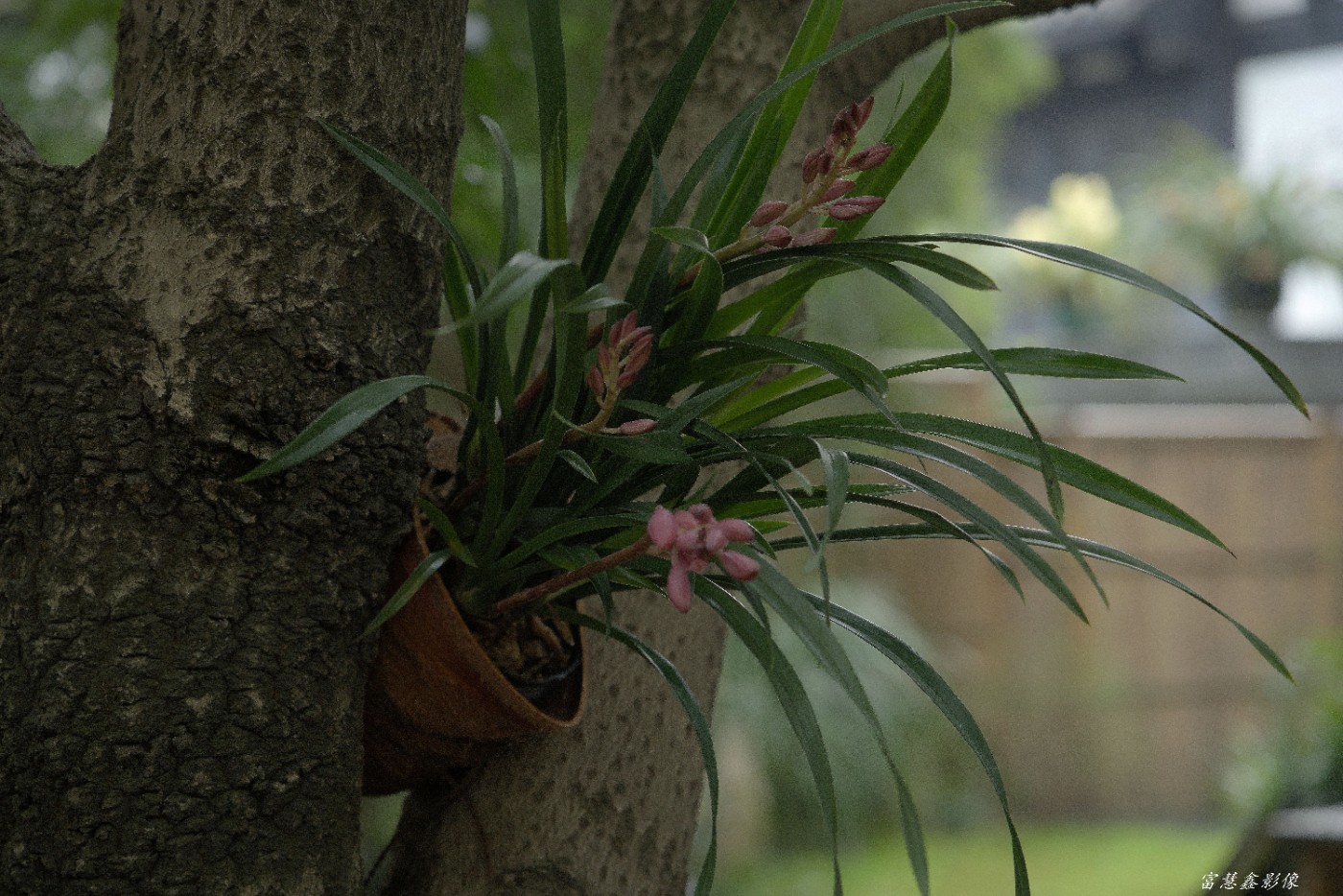 DSC08327_.jpg