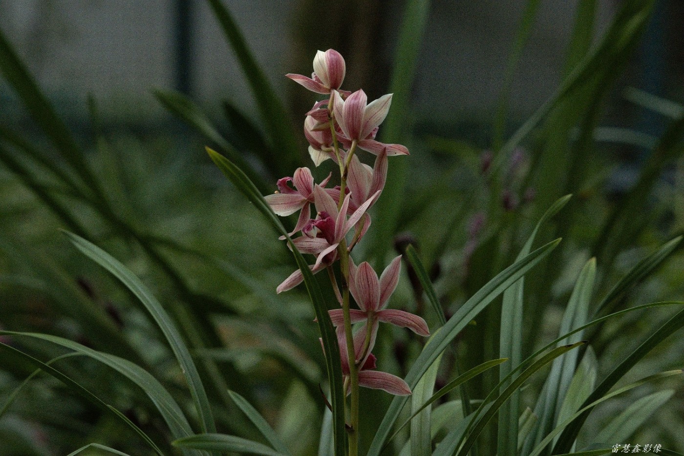 DSC08330_.jpg
