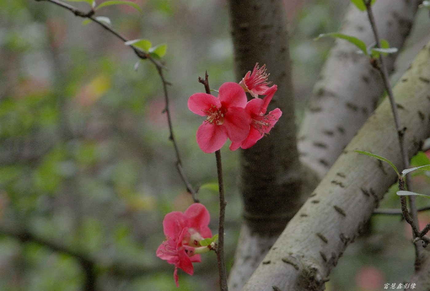 DSC08935_.jpg