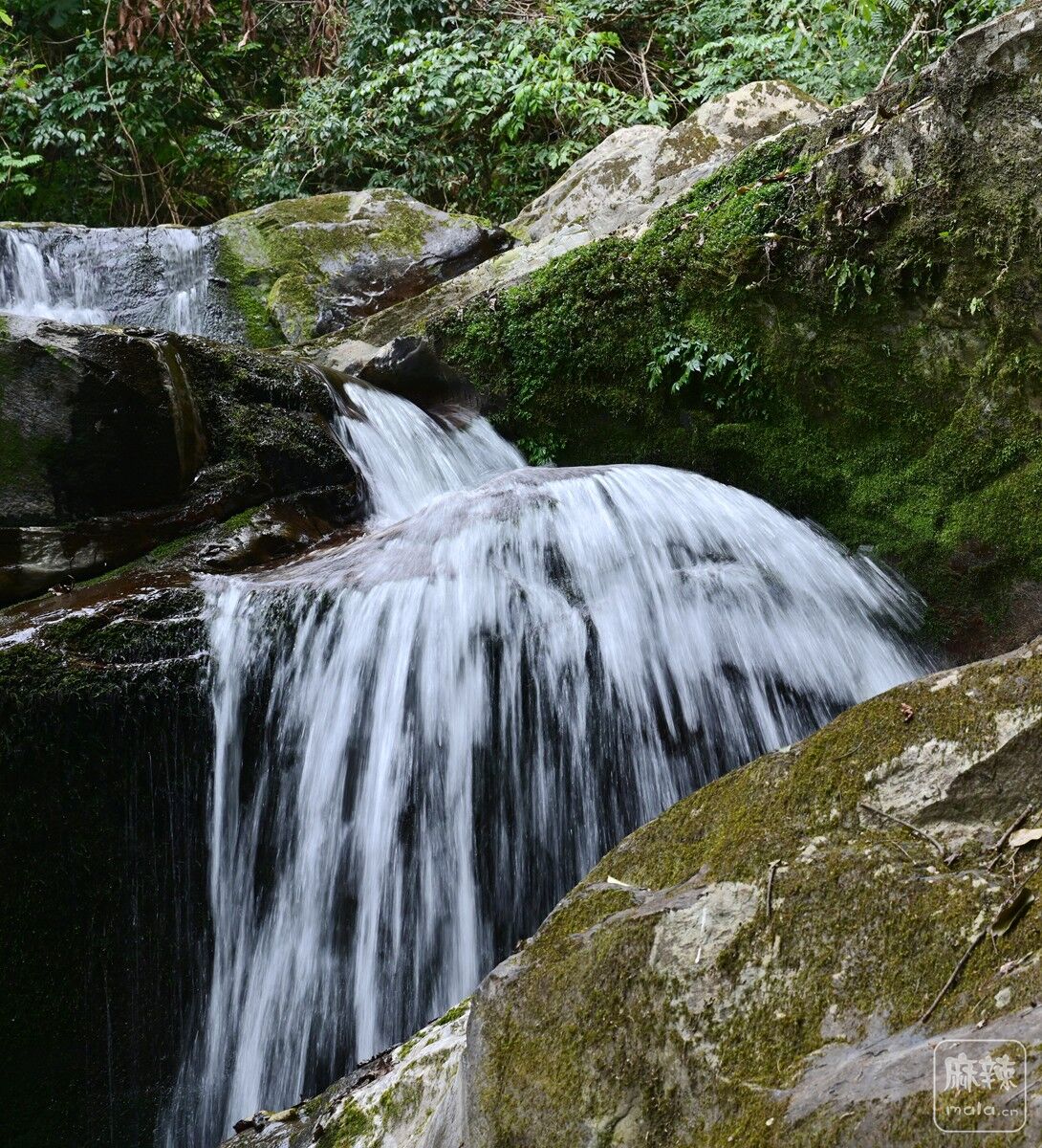 DSC_6937_.jpg