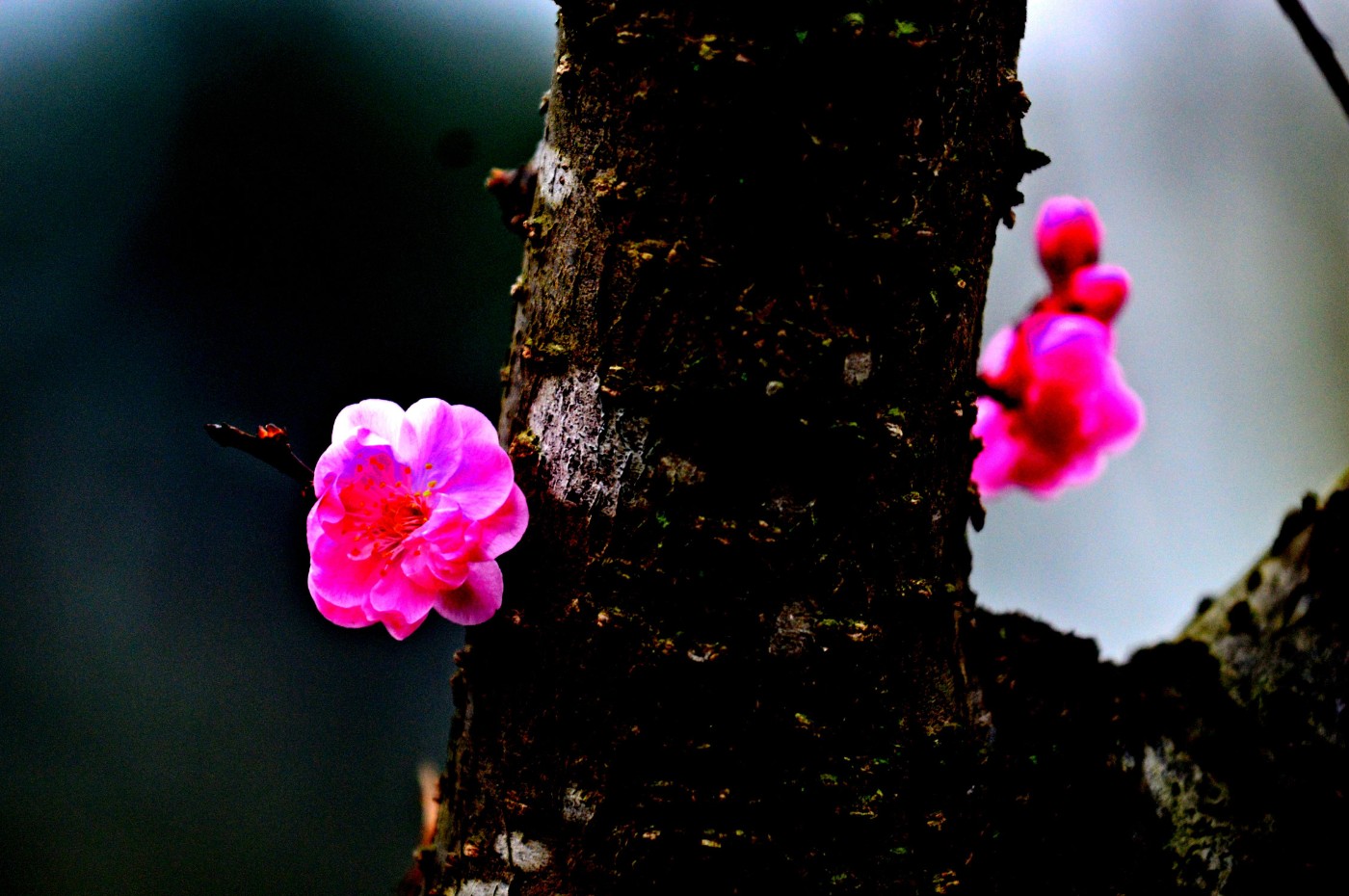 DSC_0020 (2)_Winͼ.jpg