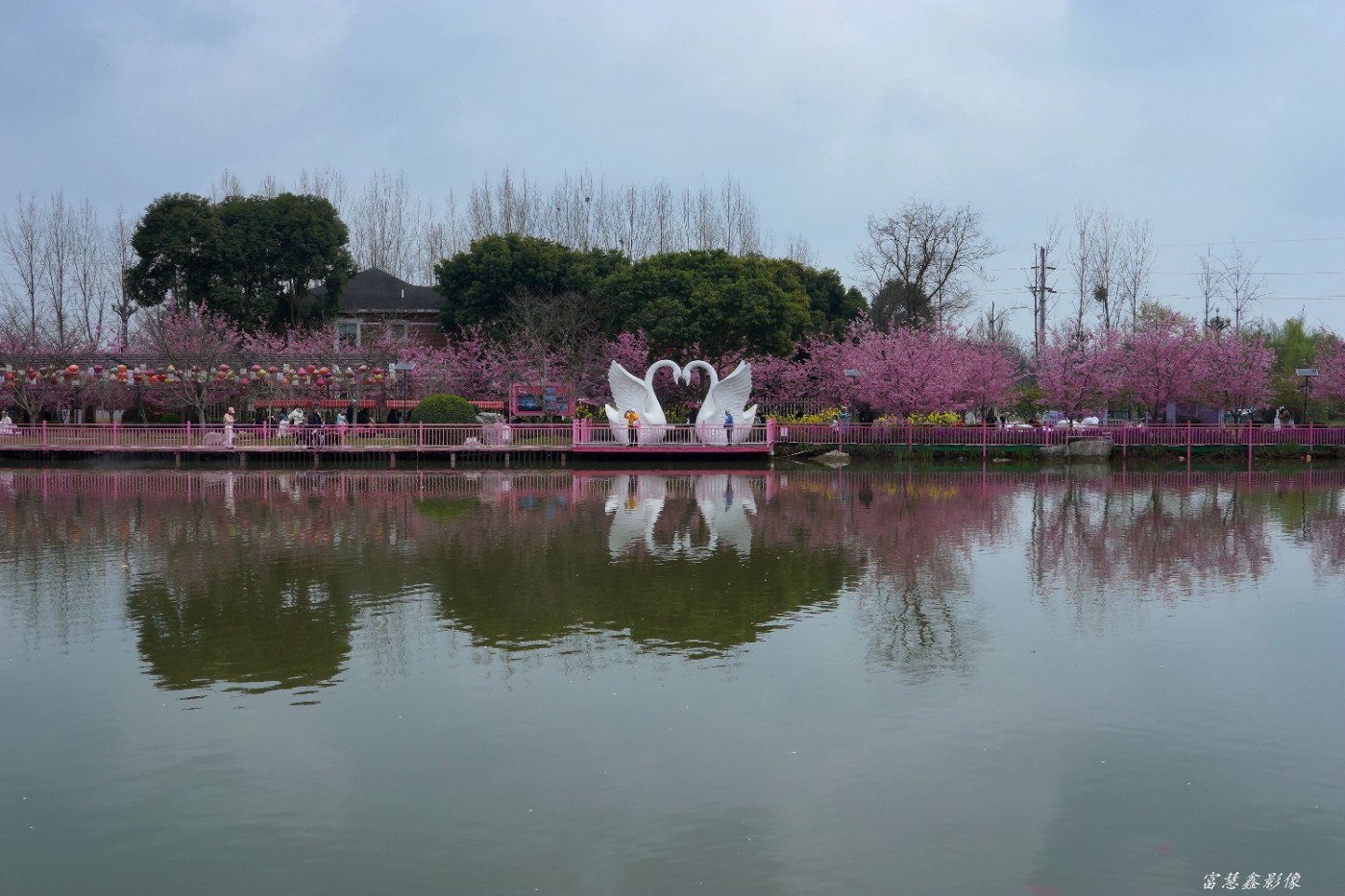DSC09260_.jpg