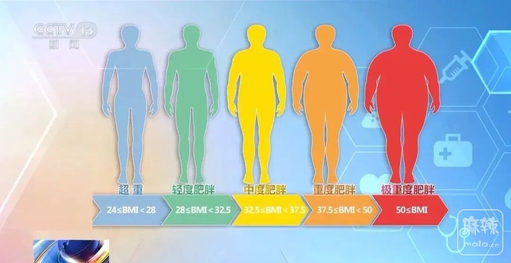 152117389243.jpg