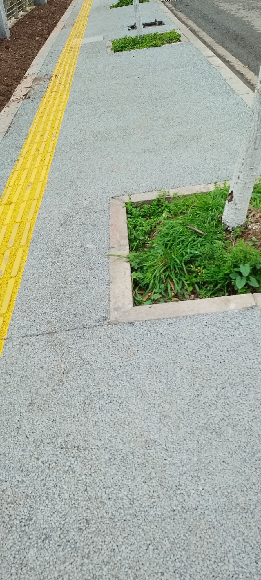 20250315094745front2_0_7744386_FpDhK2MQ53qwvaI09ih5OmTHIAFi.jpg