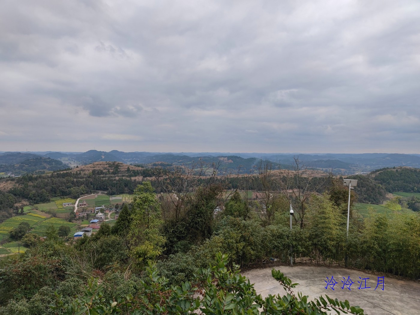 IMG_20250304_161543.jpg