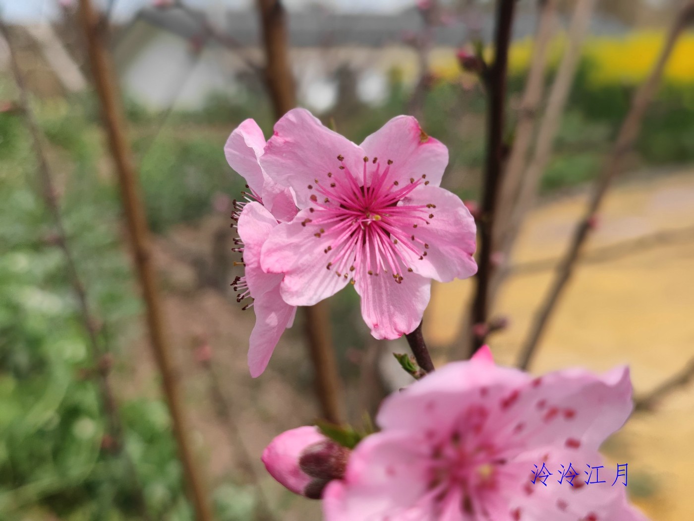 IMG_20250314_130137.jpg