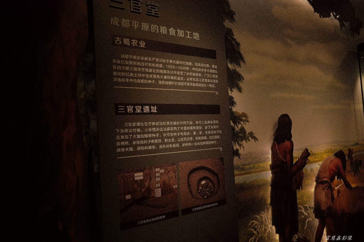 DSC02171_.jpg