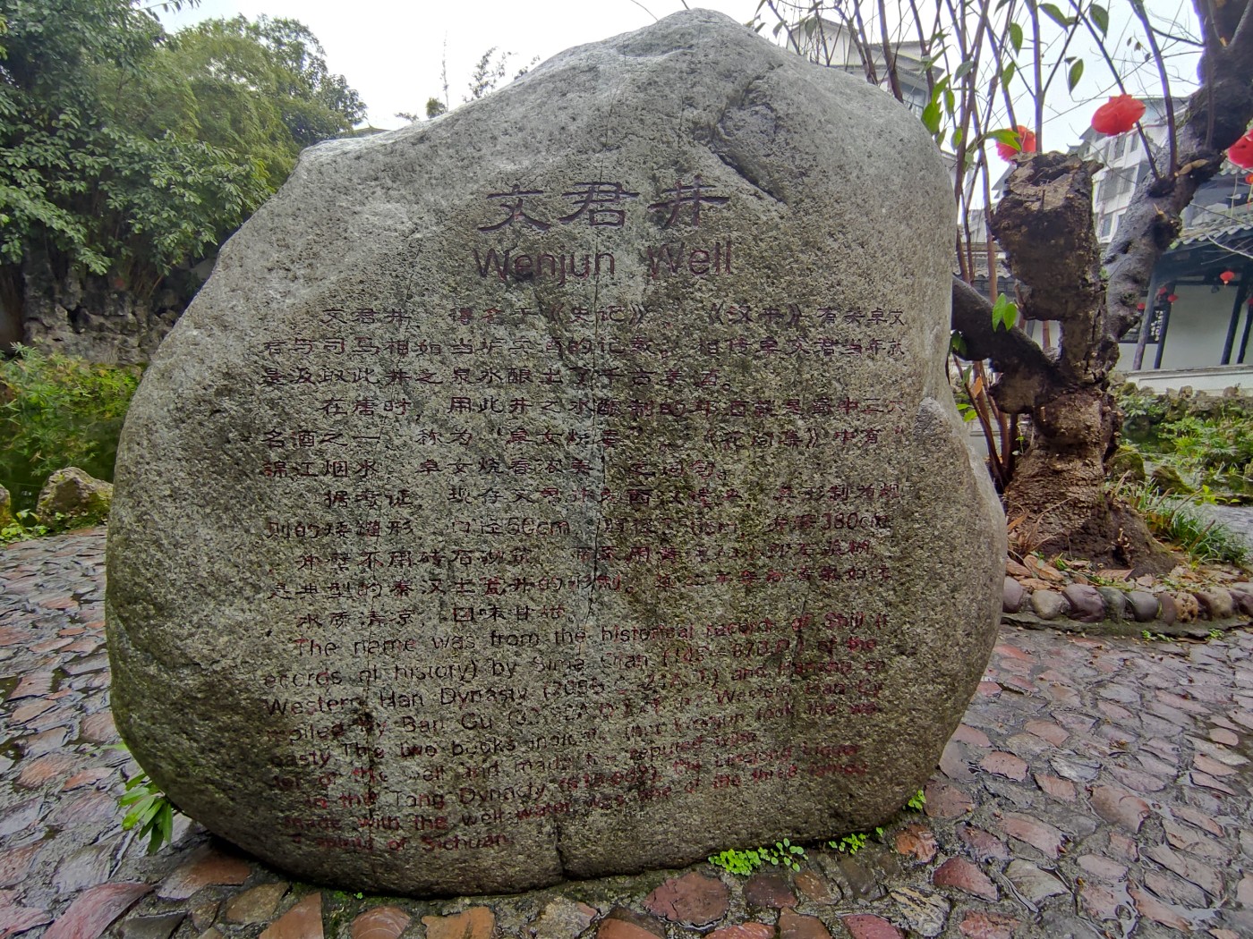 1739967293405.jpg