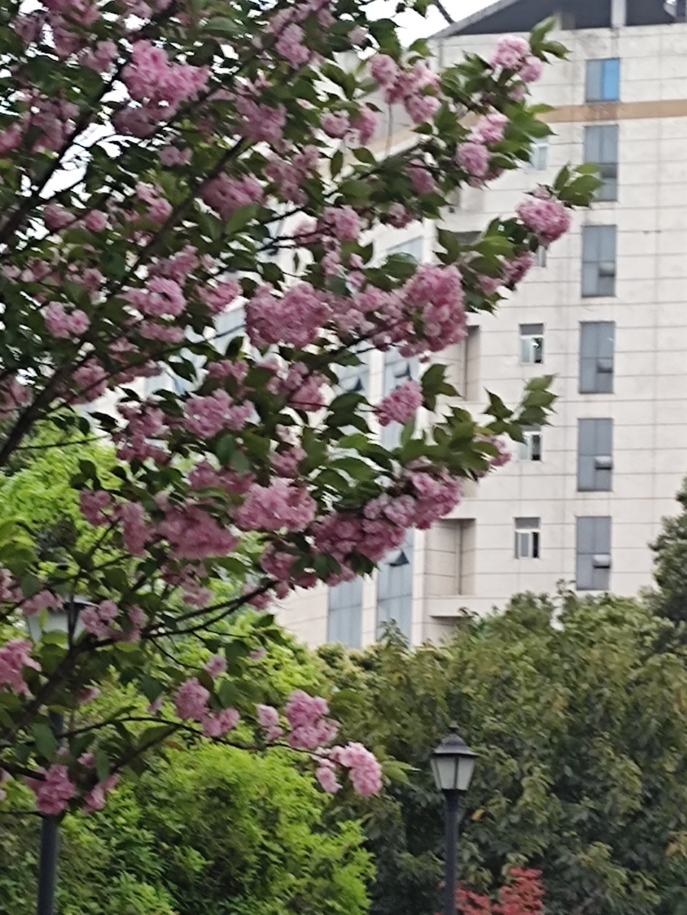 1744347187694.jpg