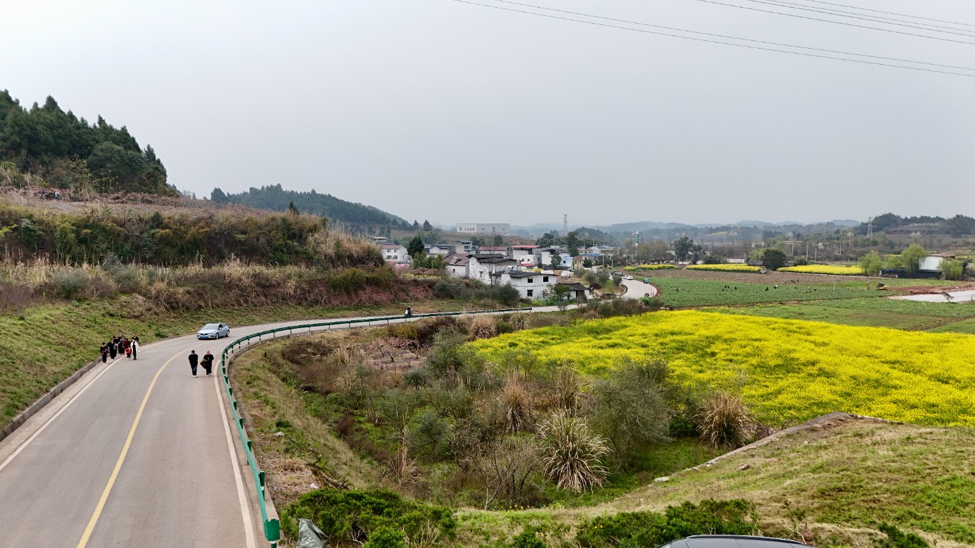 dji_fly_20250322_142502_0486_1742625156072_photo.JPG