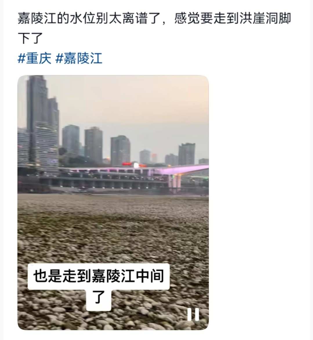 Screenshot_20250420_092035.jpg