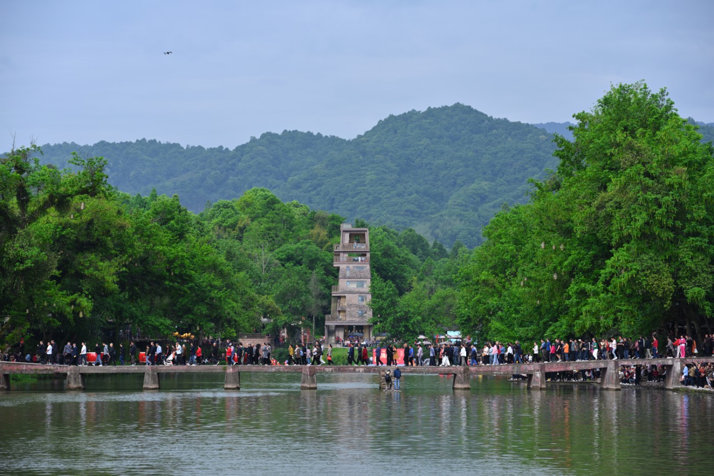 DSC_5164.JPG