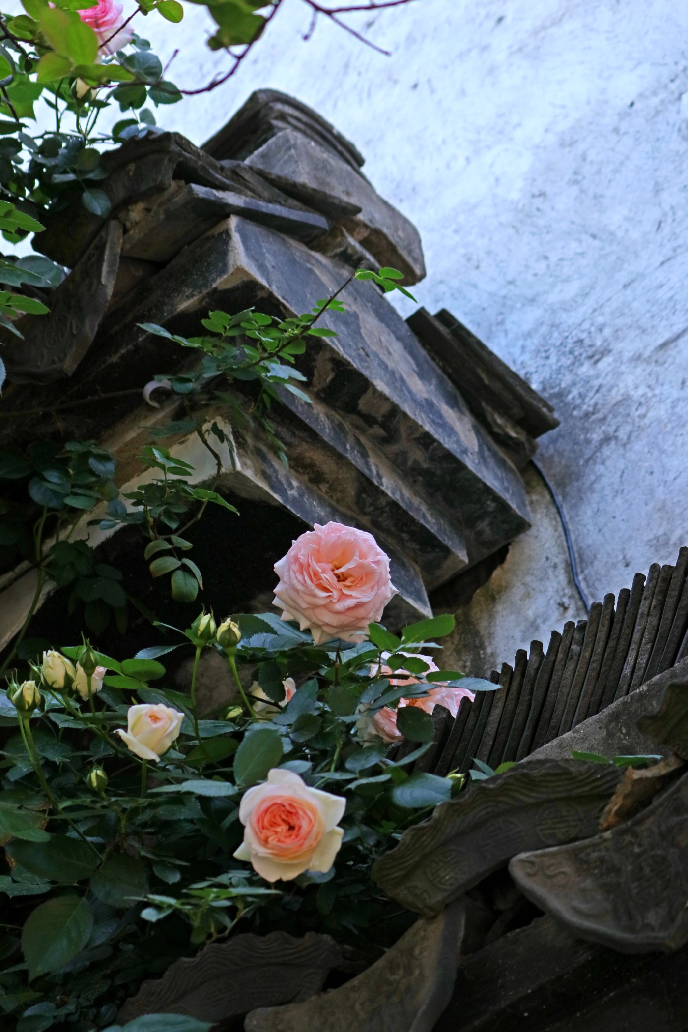 IMG_9659.JPG