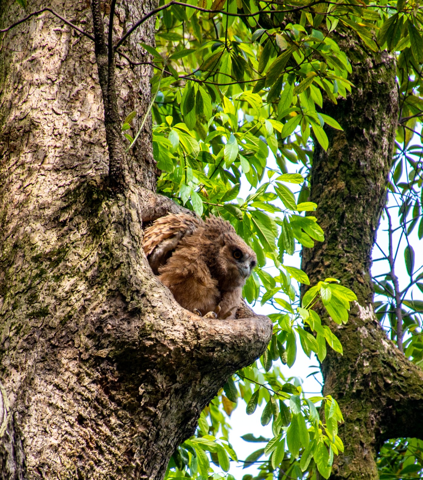 DSC_3409.jpg