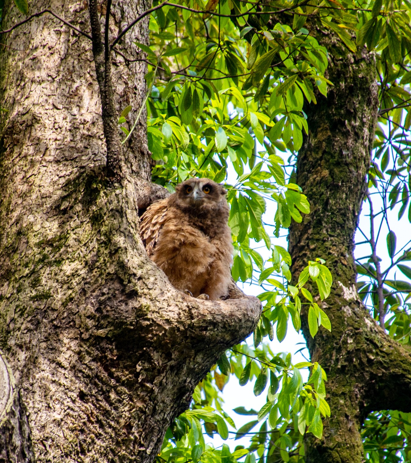 DSC_3413.jpg