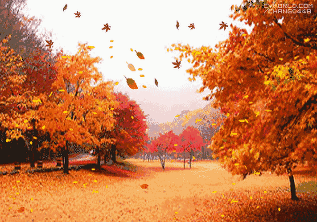 1745912354001.gif