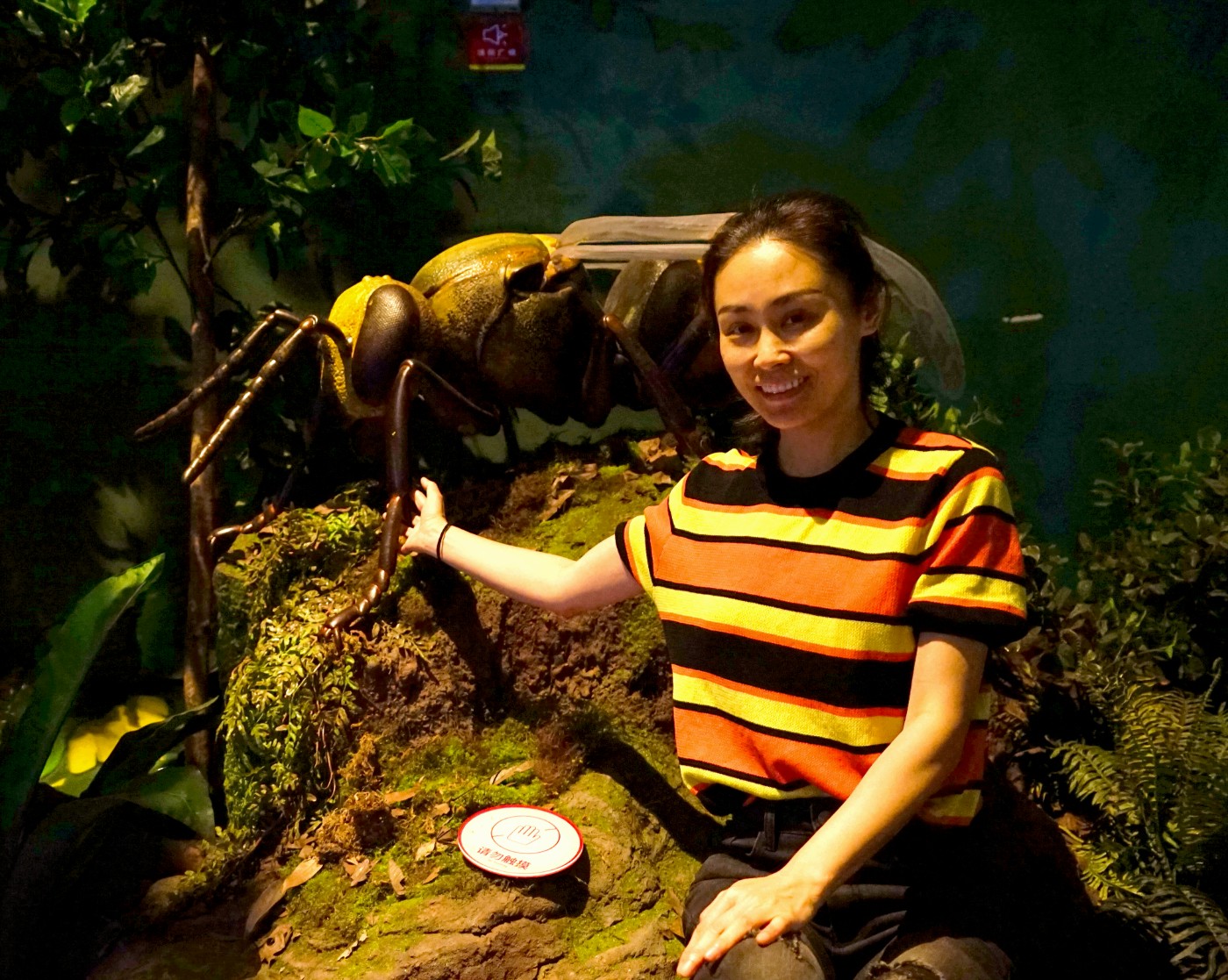 DSC04882_.jpg