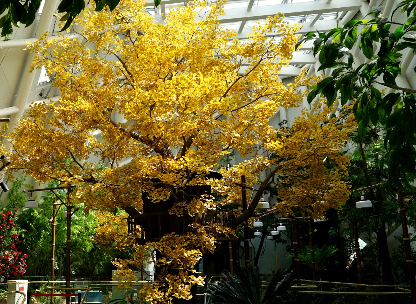 DSC04993_.jpg