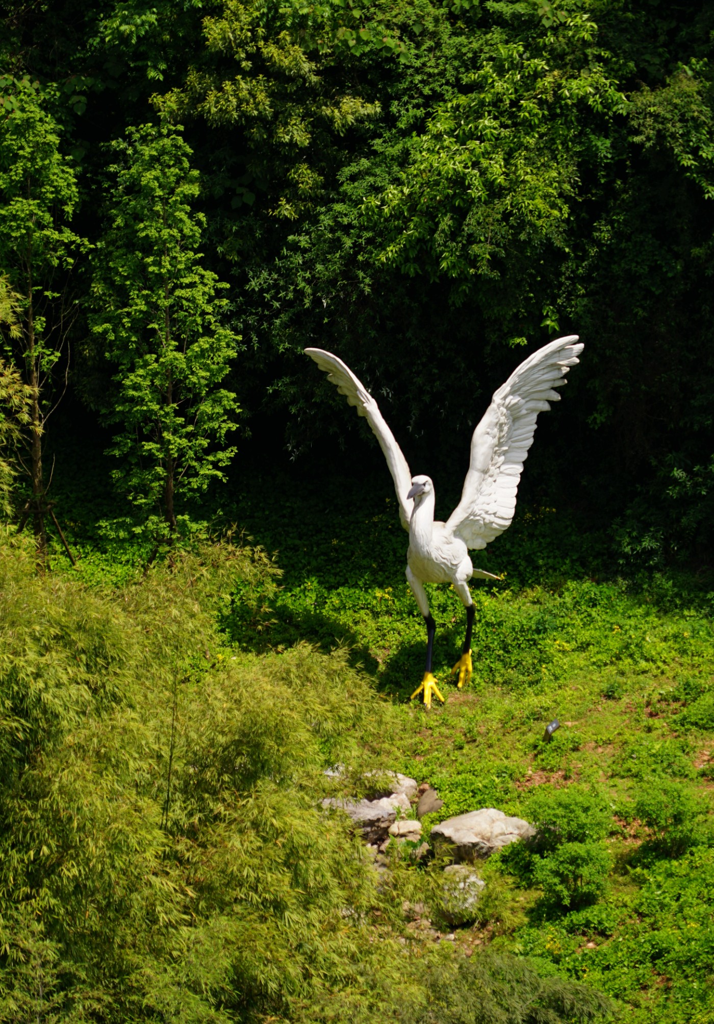 DSC05066_.jpg