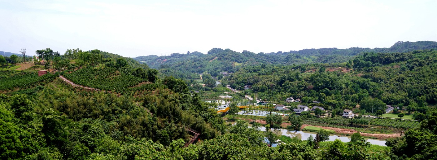 DSC05114_.jpg