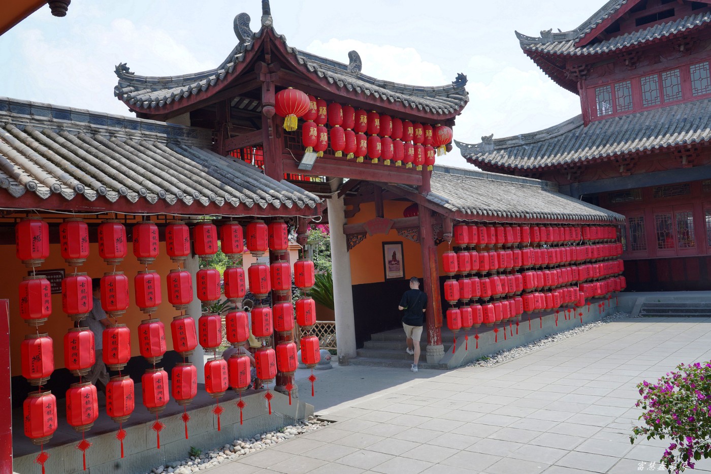 DSC08574_.jpg