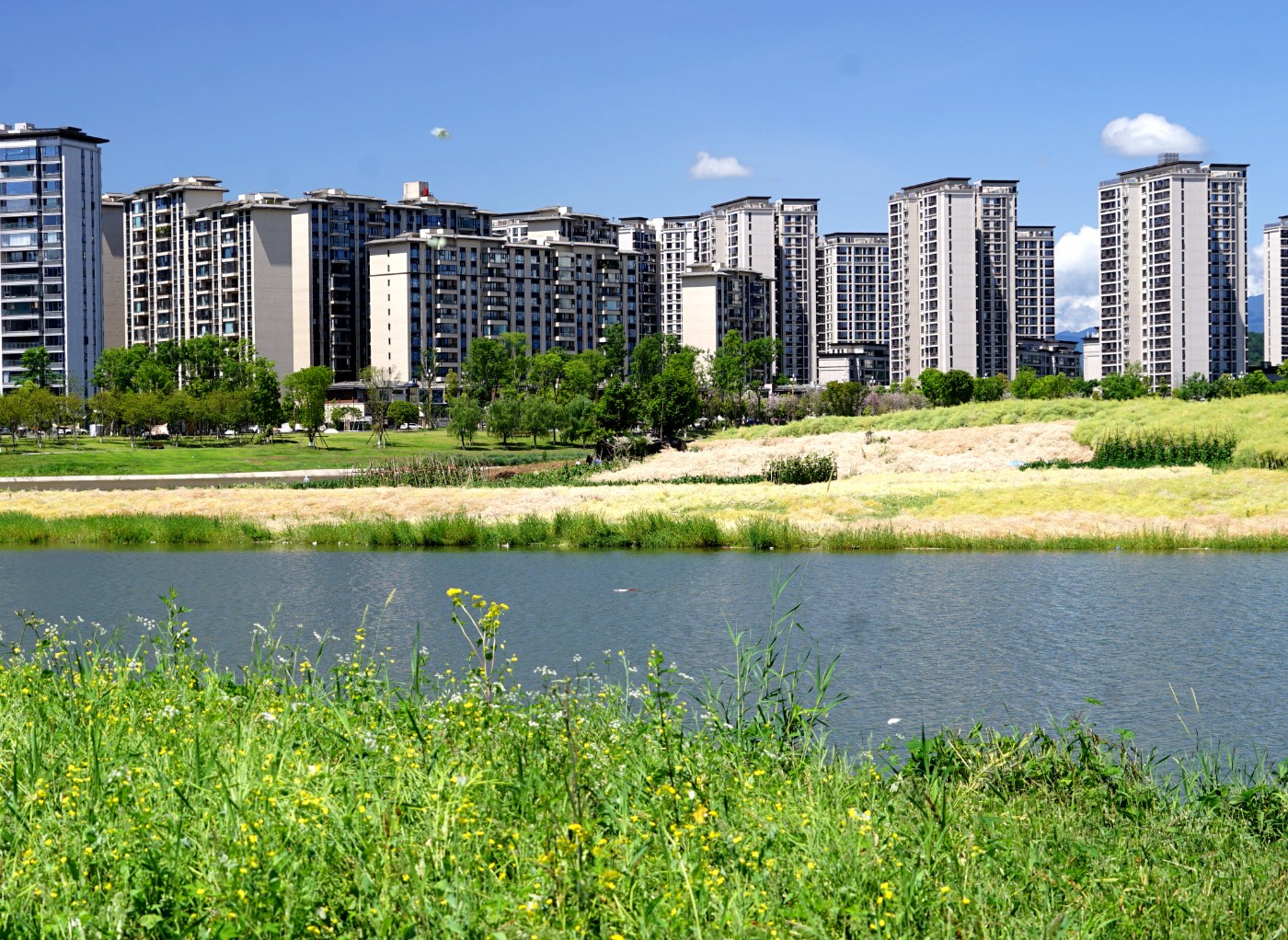 DSC05590_.jpg
