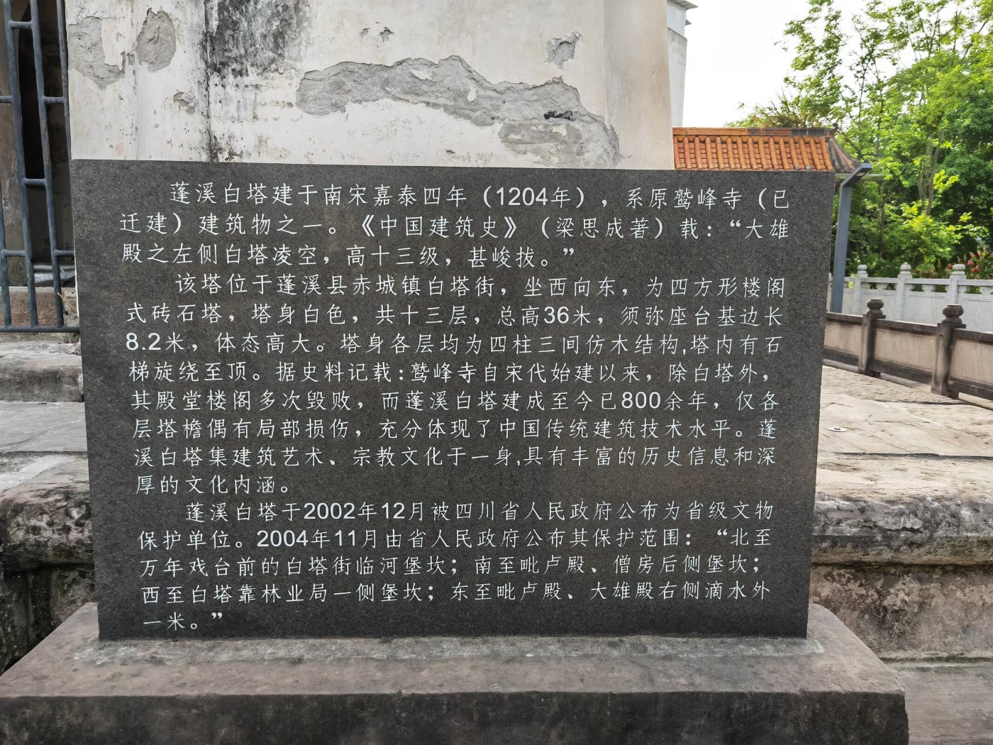 49.jpg