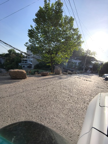IMG_20250507_073333.jpg