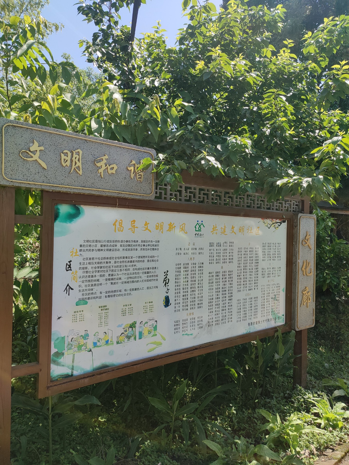 1746618807070.jpg