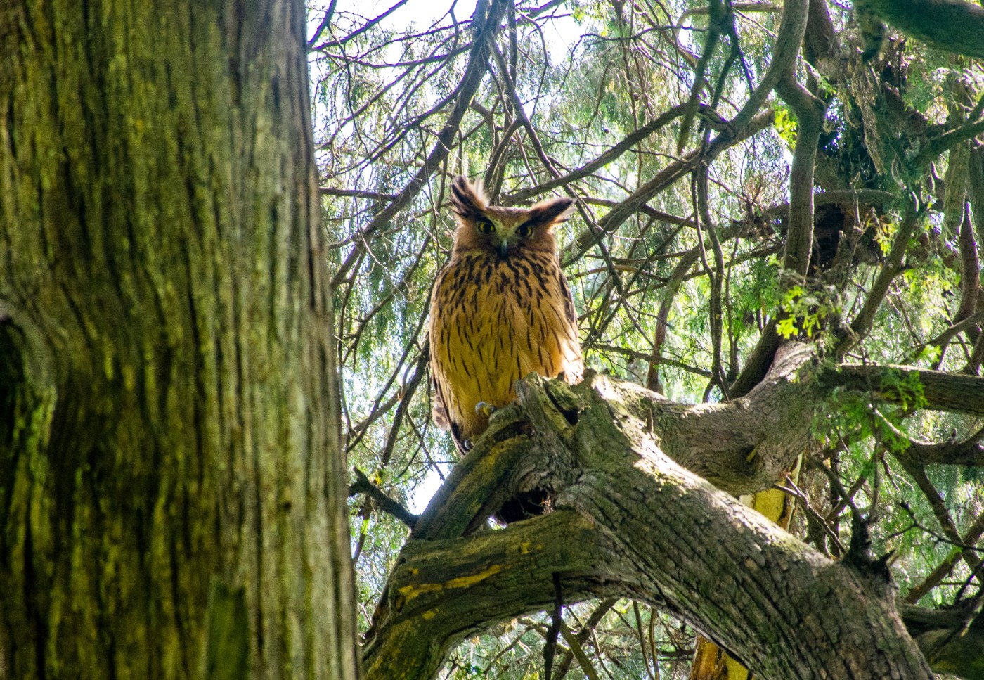 DSC_4642.jpg