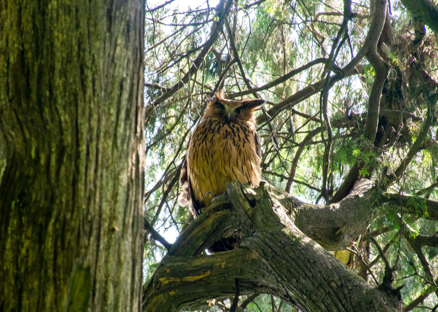 DSC_4659.jpg