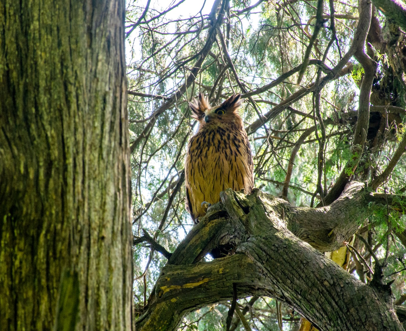 DSC_4677.jpg