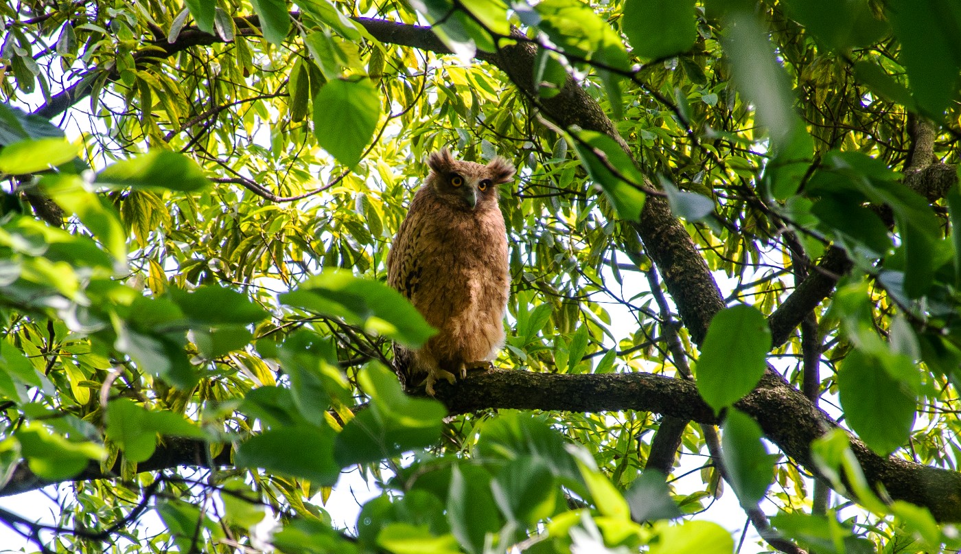 DSC_4757.jpg