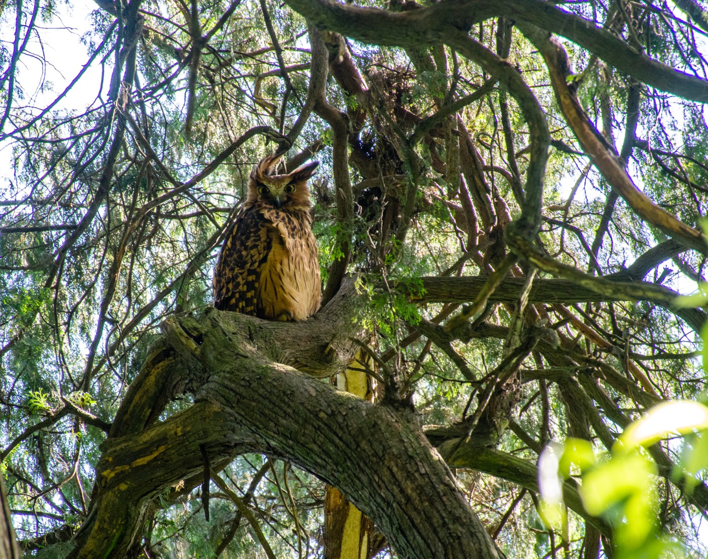 DSC_4891.jpg