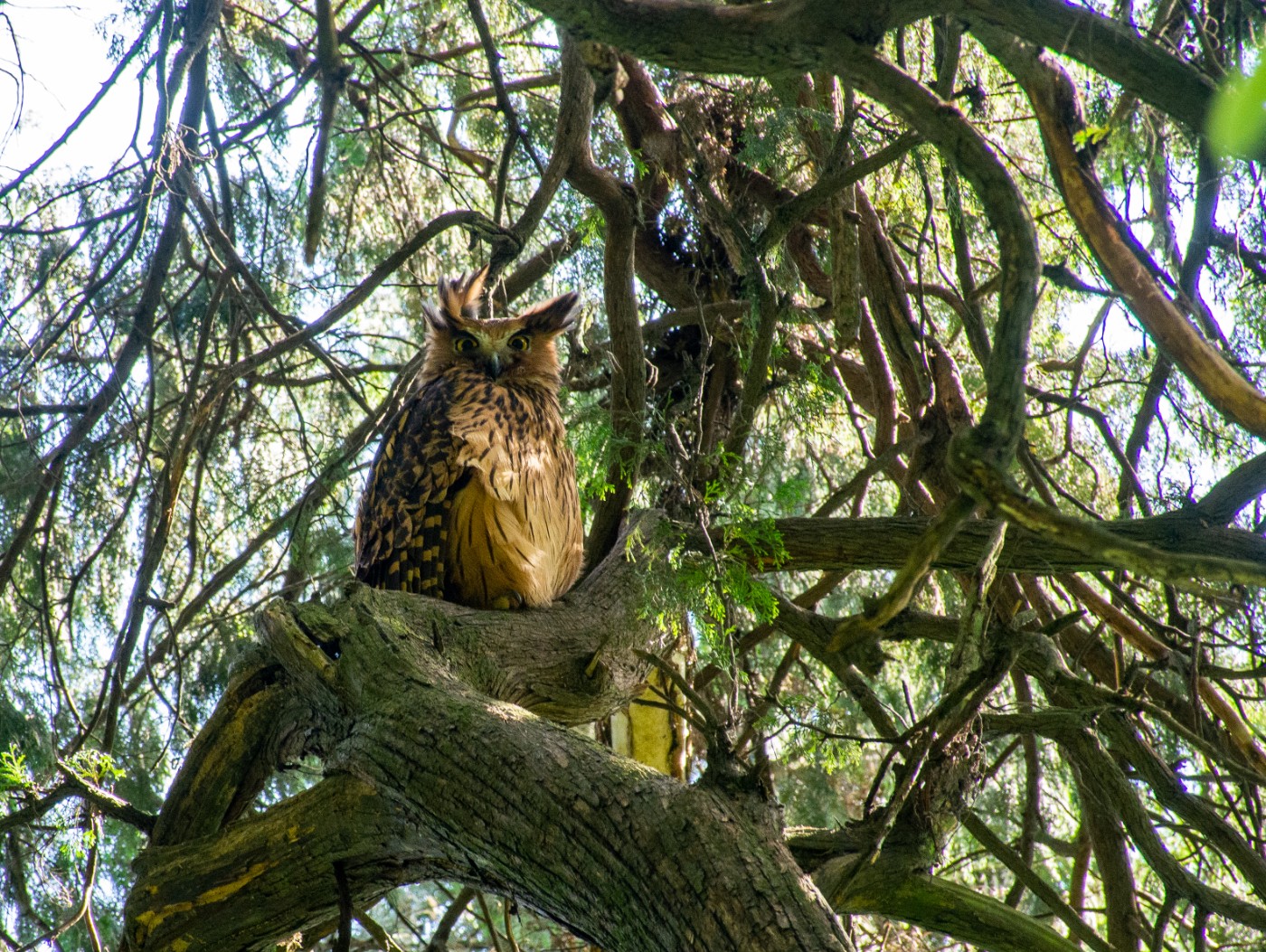DSC_4880.jpg