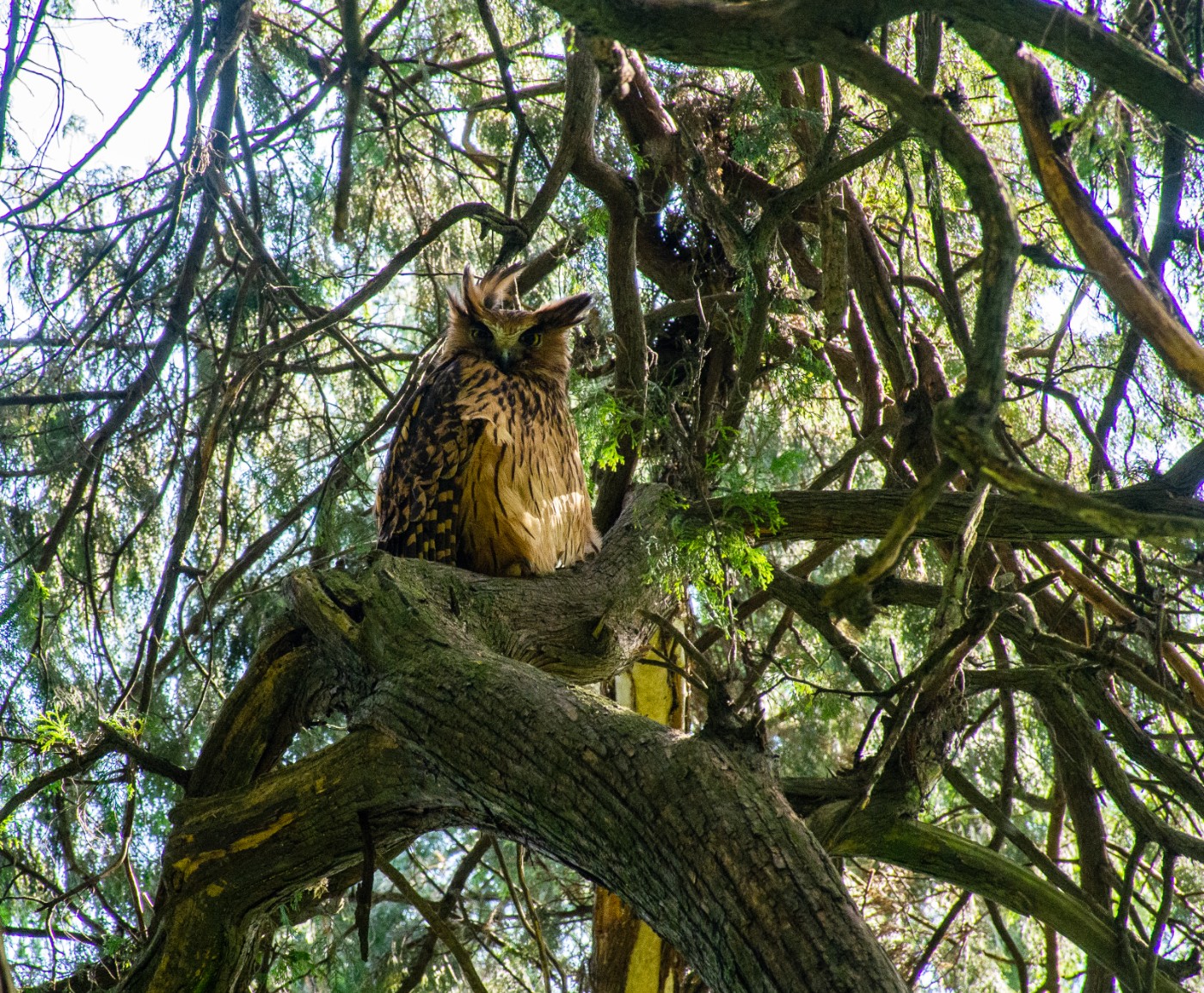 DSC_4986.jpg