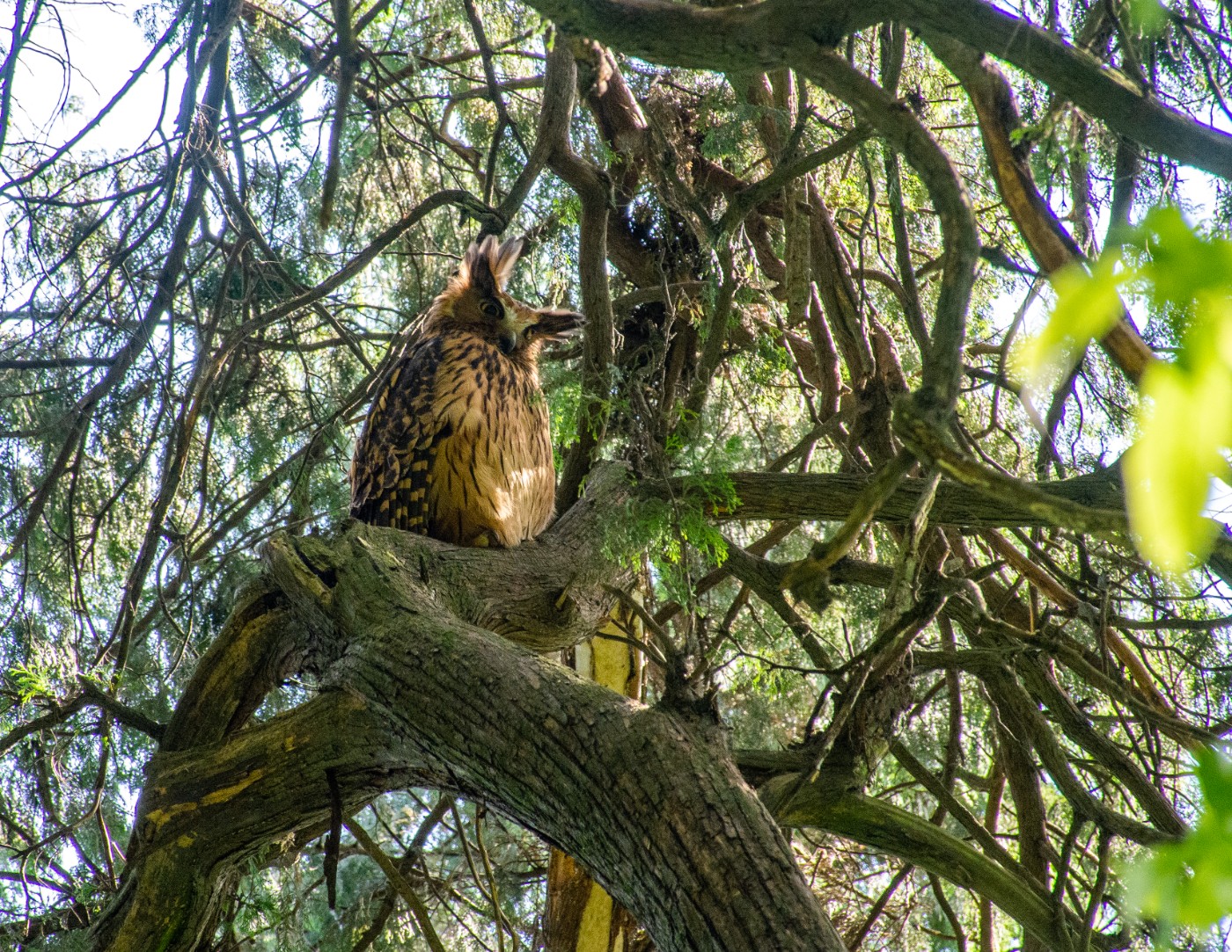 DSC_5006.jpg