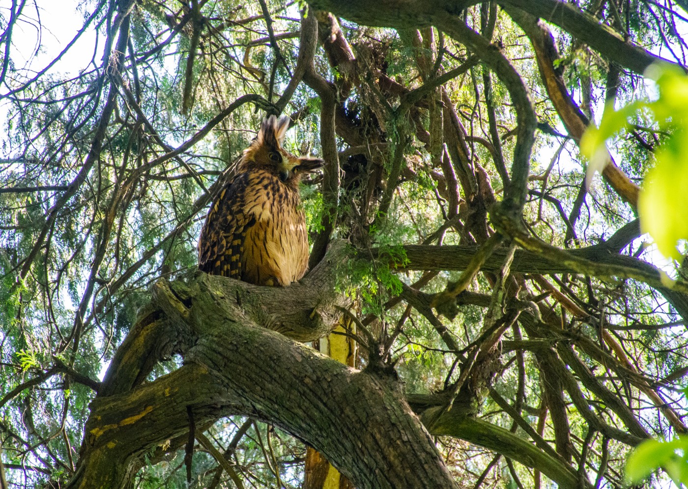 DSC_5008.jpg